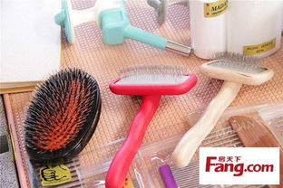 尊宠国际 打造专业宠物美容日用品，守护爱犬的日常精致